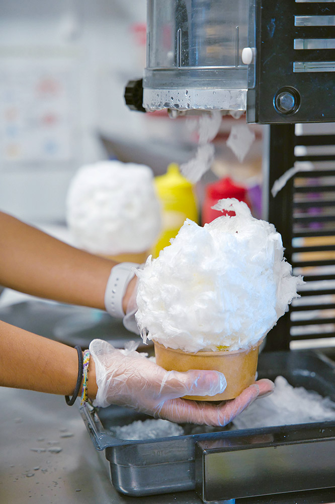 swan ice shaver
